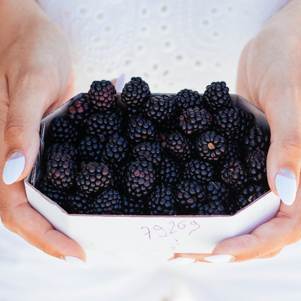 black berries farms