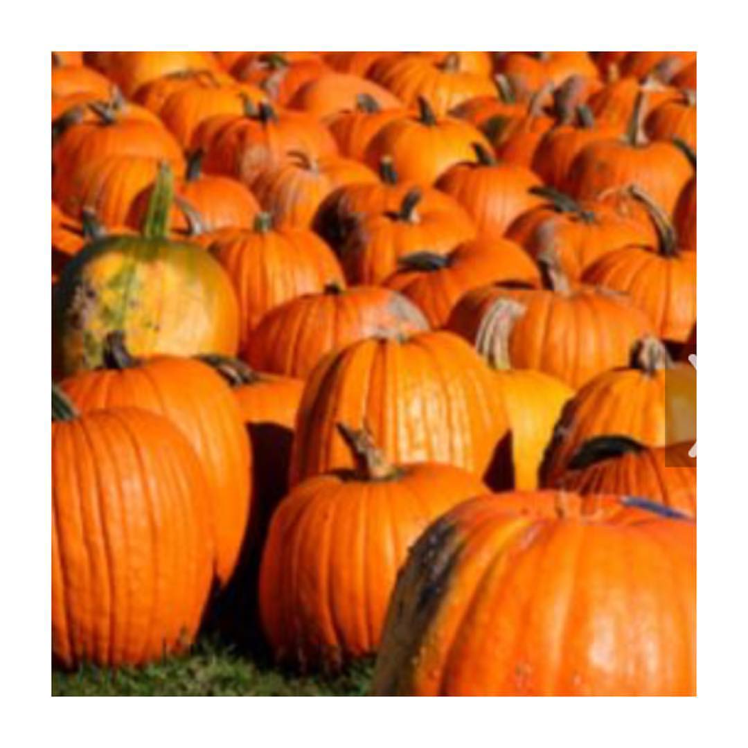 12132562_892512380796990_6841831267173944623_o