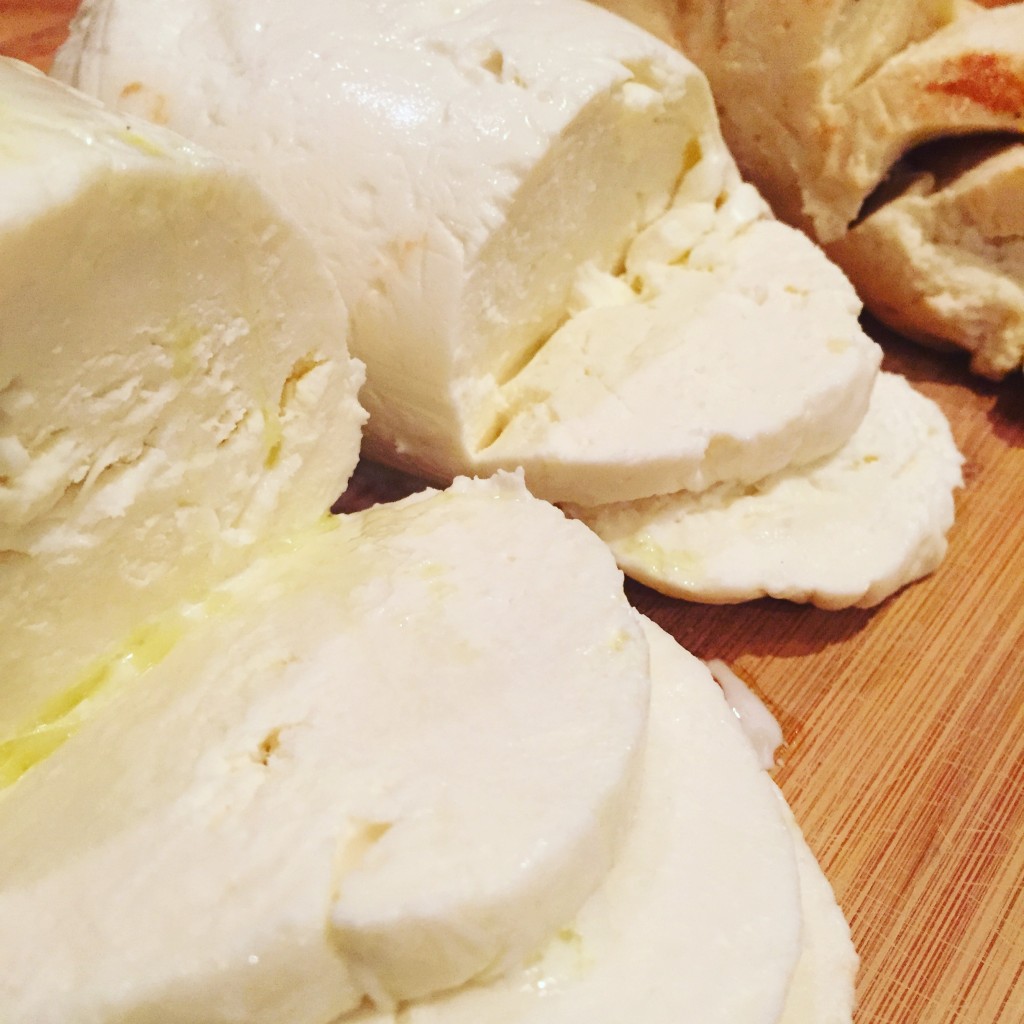 tony boloneys mozzarella mutz hoboken