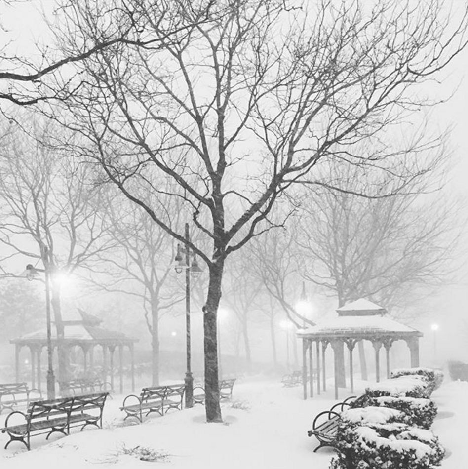snowboken blizzard