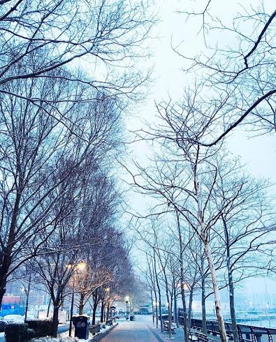 waterfront-snowy-trees