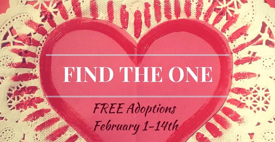 hoboken-girl-blog-liberty-humane-society-vday