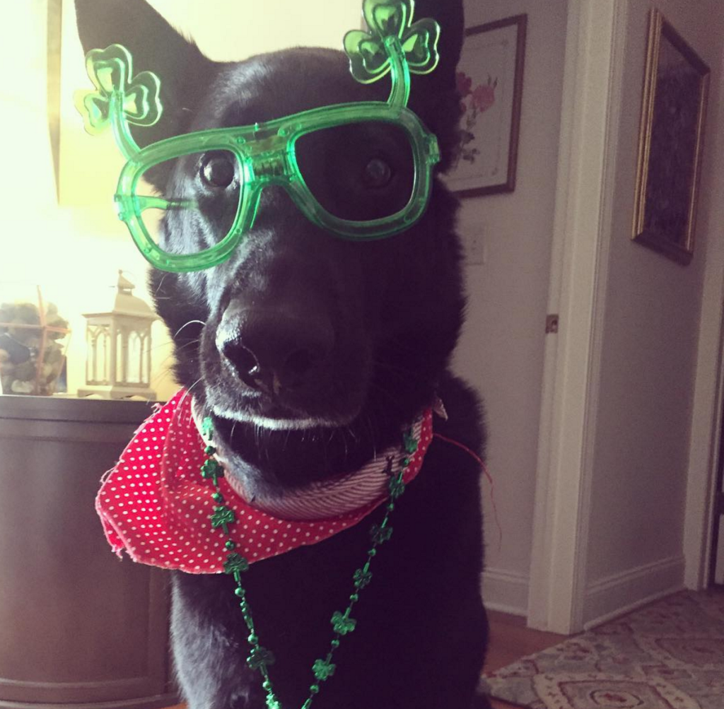 Hoboken St. Patty's Day participant