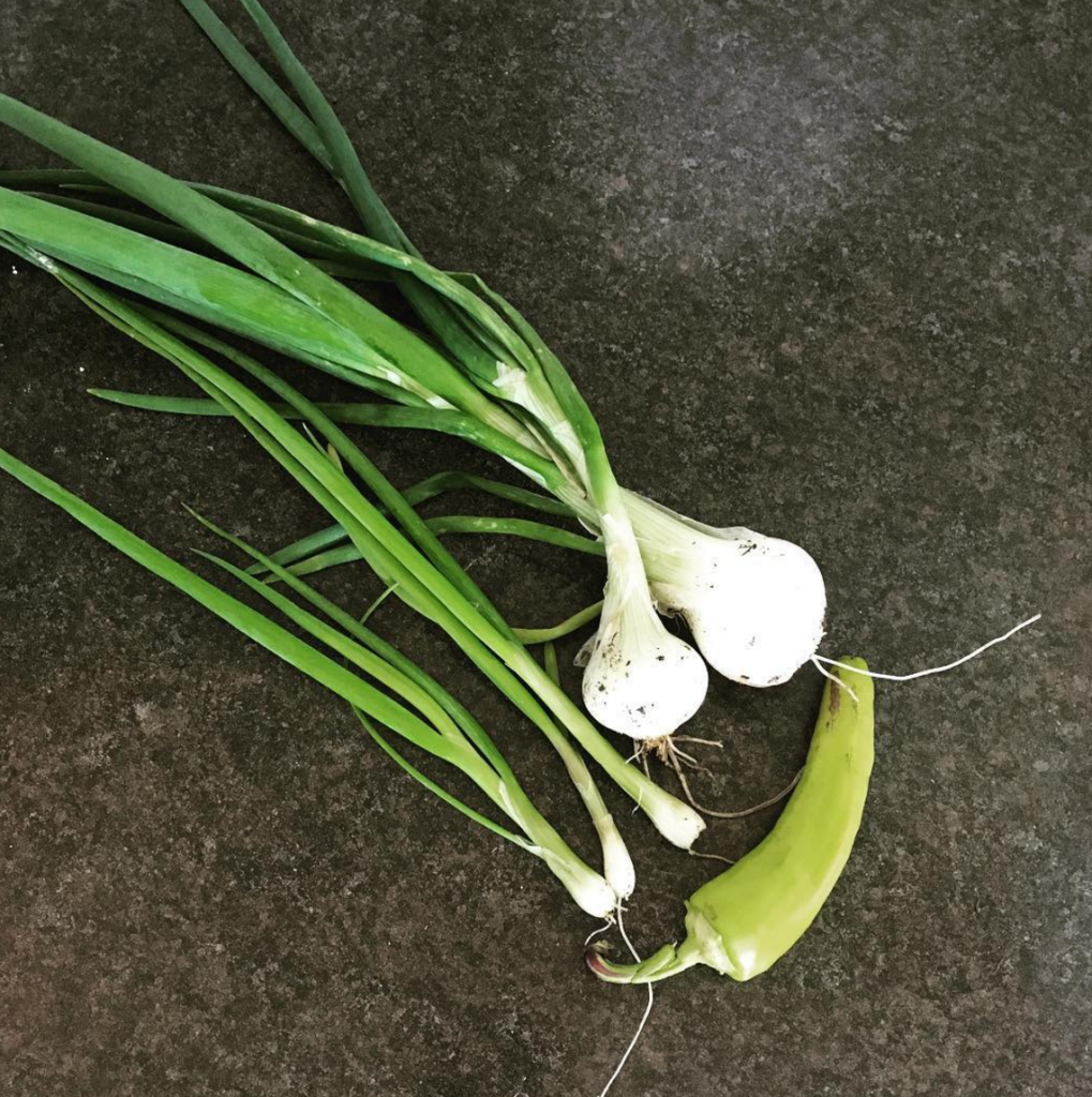 emotional-healing-like-an-onion