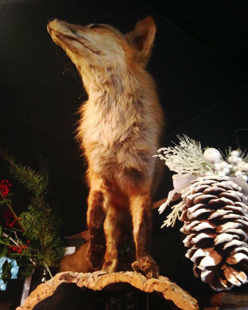 Fox and Crow - fox