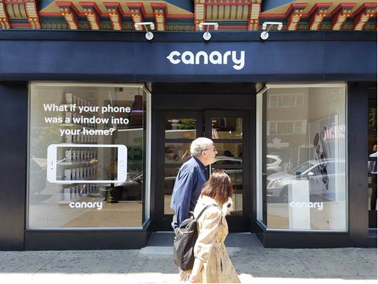 canary