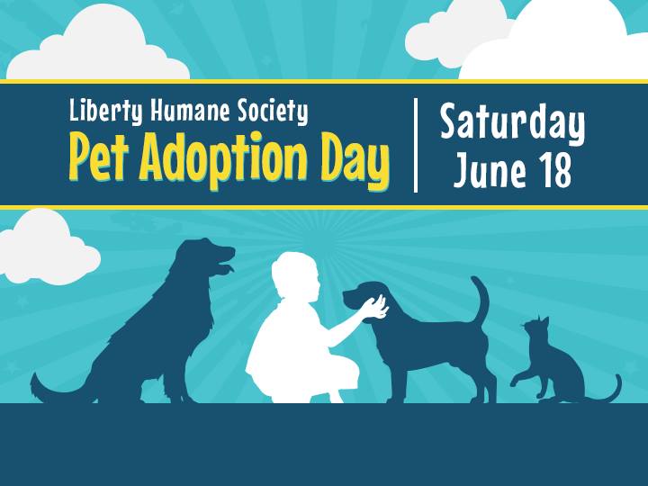 hoboken-girl-blog-pet-adoption-day-pier-13-2016