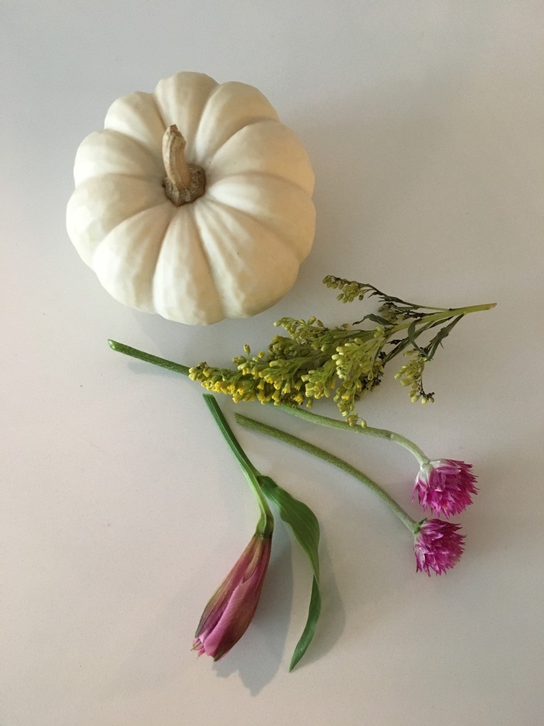 pumpkin-diy