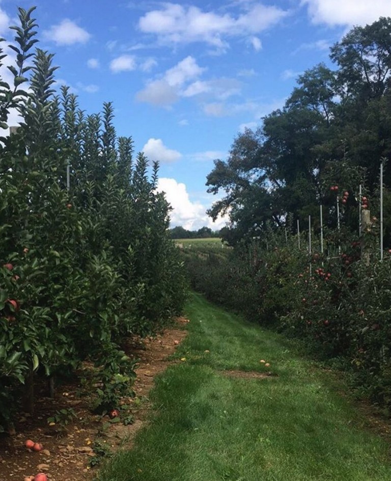 7 New Jersey Apple Orchards & Pumpkin Patches {Near Hoboken and Jersey ...