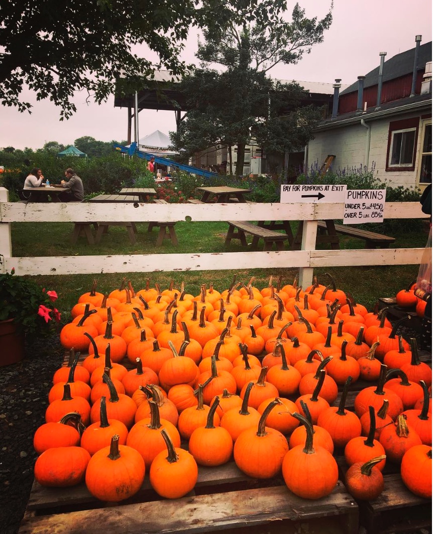 terhune-orchards-hoboken-girl