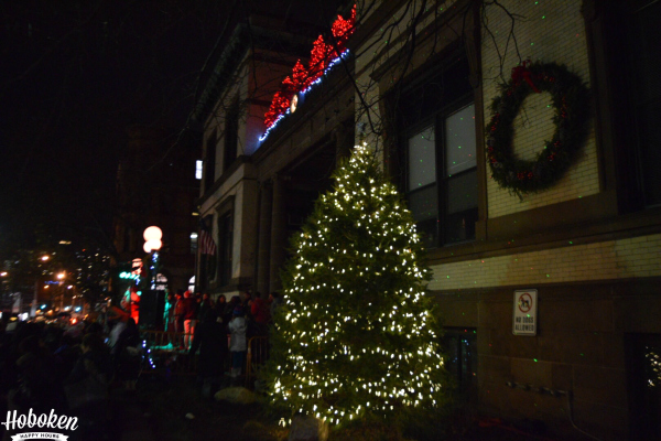 hoboken-tree
