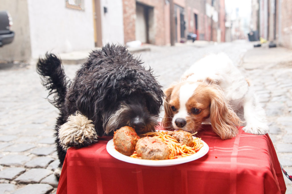 lady-and-the-tramp-hoboken