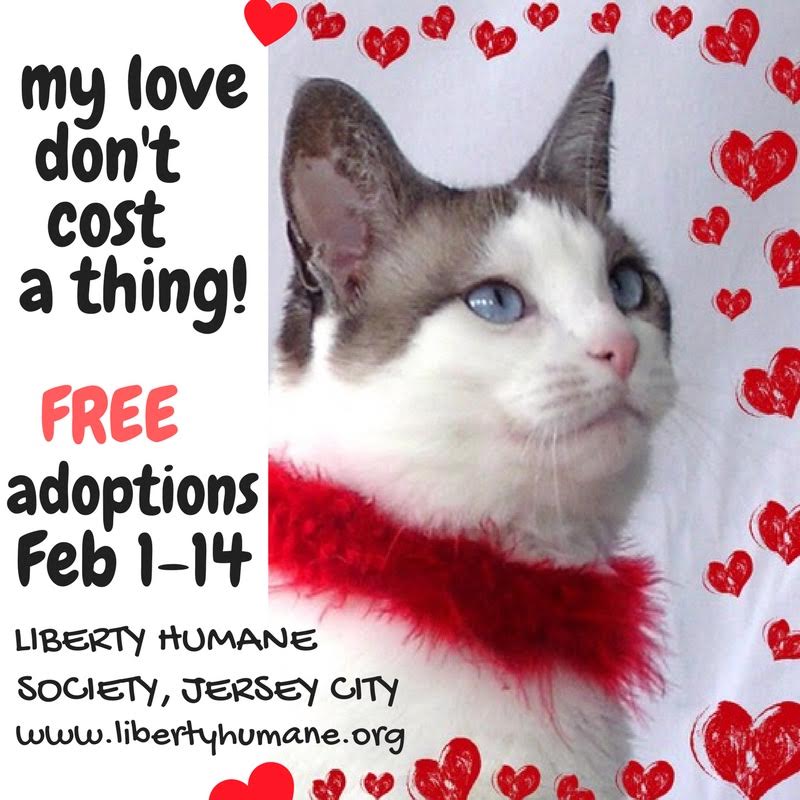 liberty humane society adoption