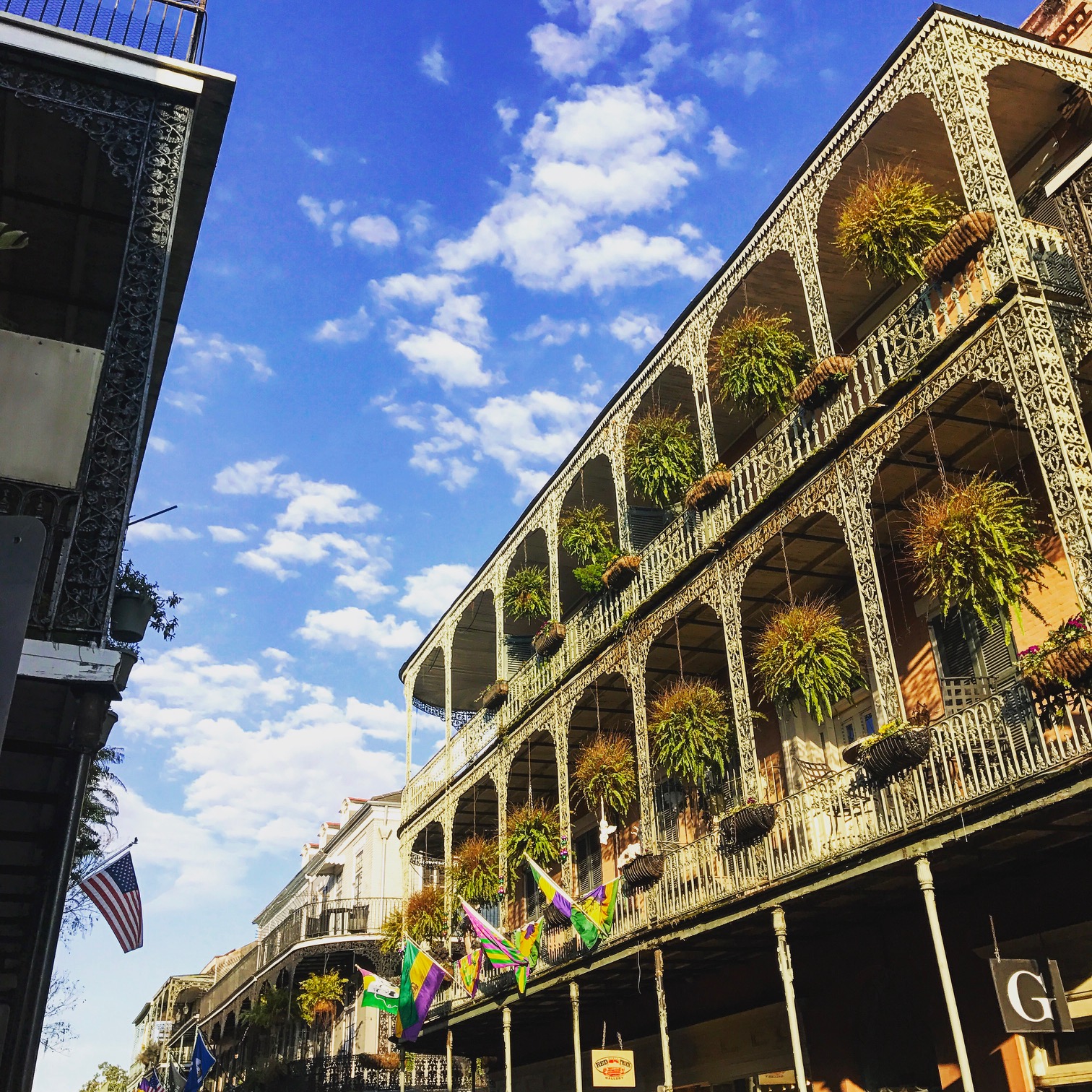neworleansuber-hobokengirl17