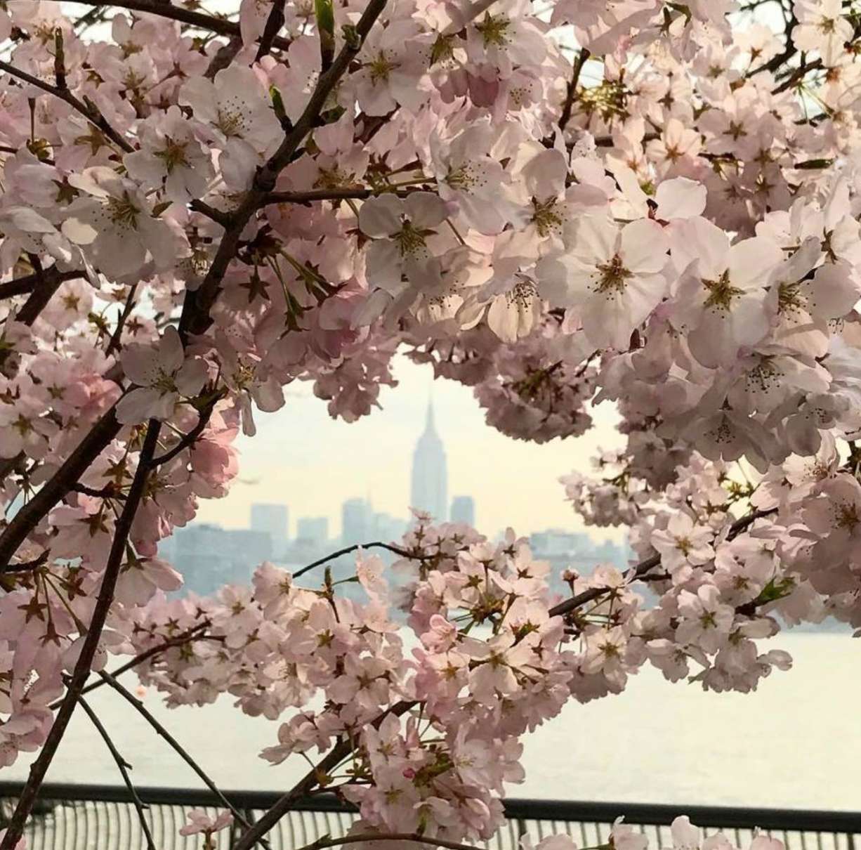 spring-hoboken-volunteer-charity-jersey city