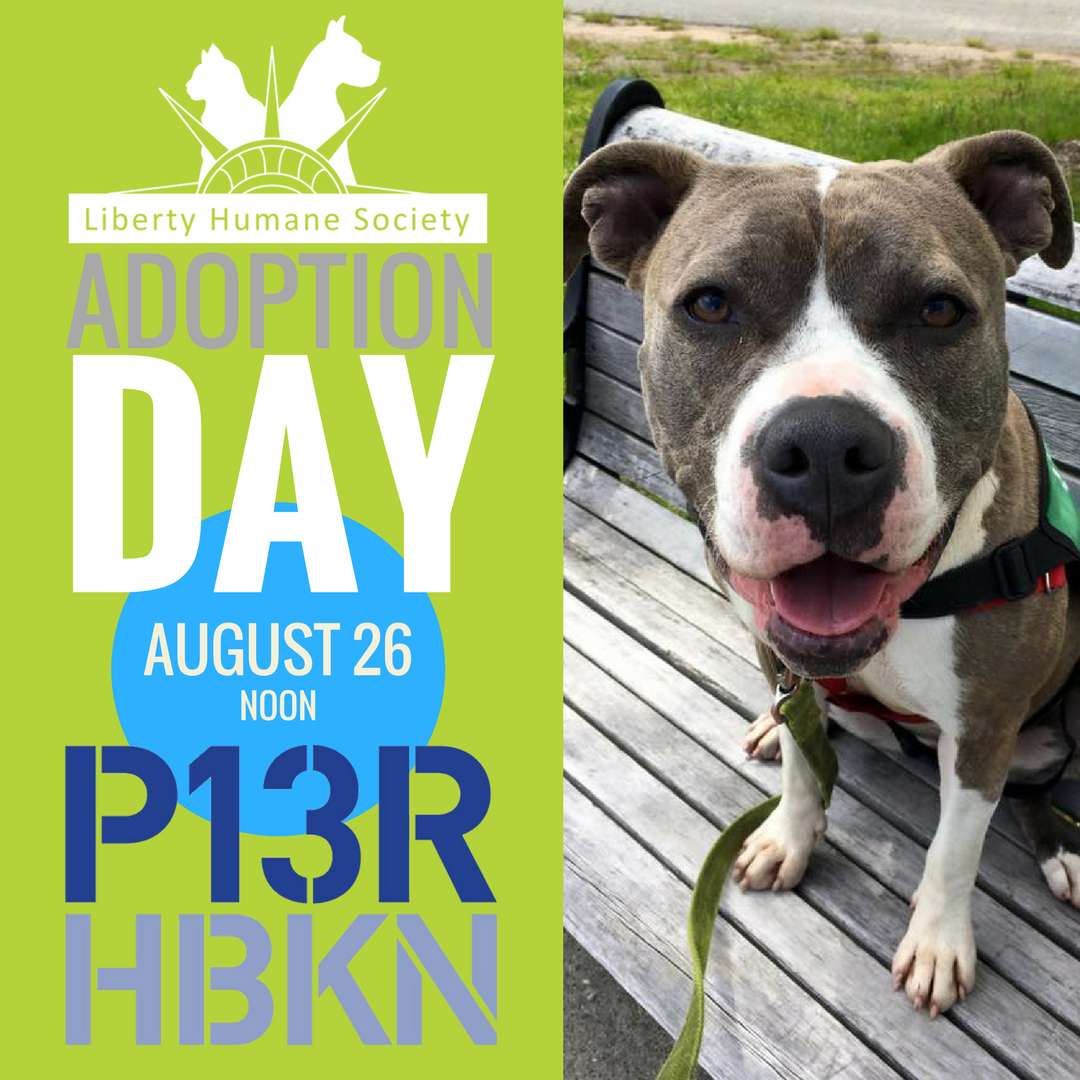 liberty-humane-society-hoboken-girl