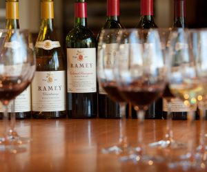 bin-14-wine-tasting-hoboken-girl