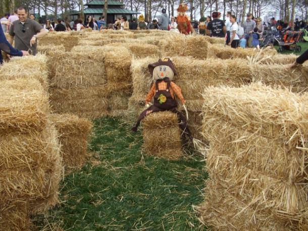 harvest-fest-hoboken-girl