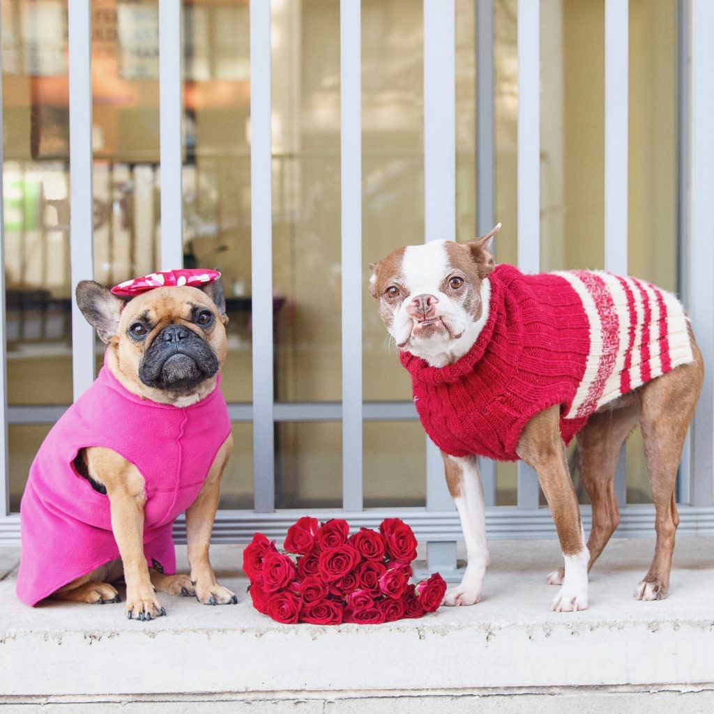 valentines day hoboken jersey city will ferman