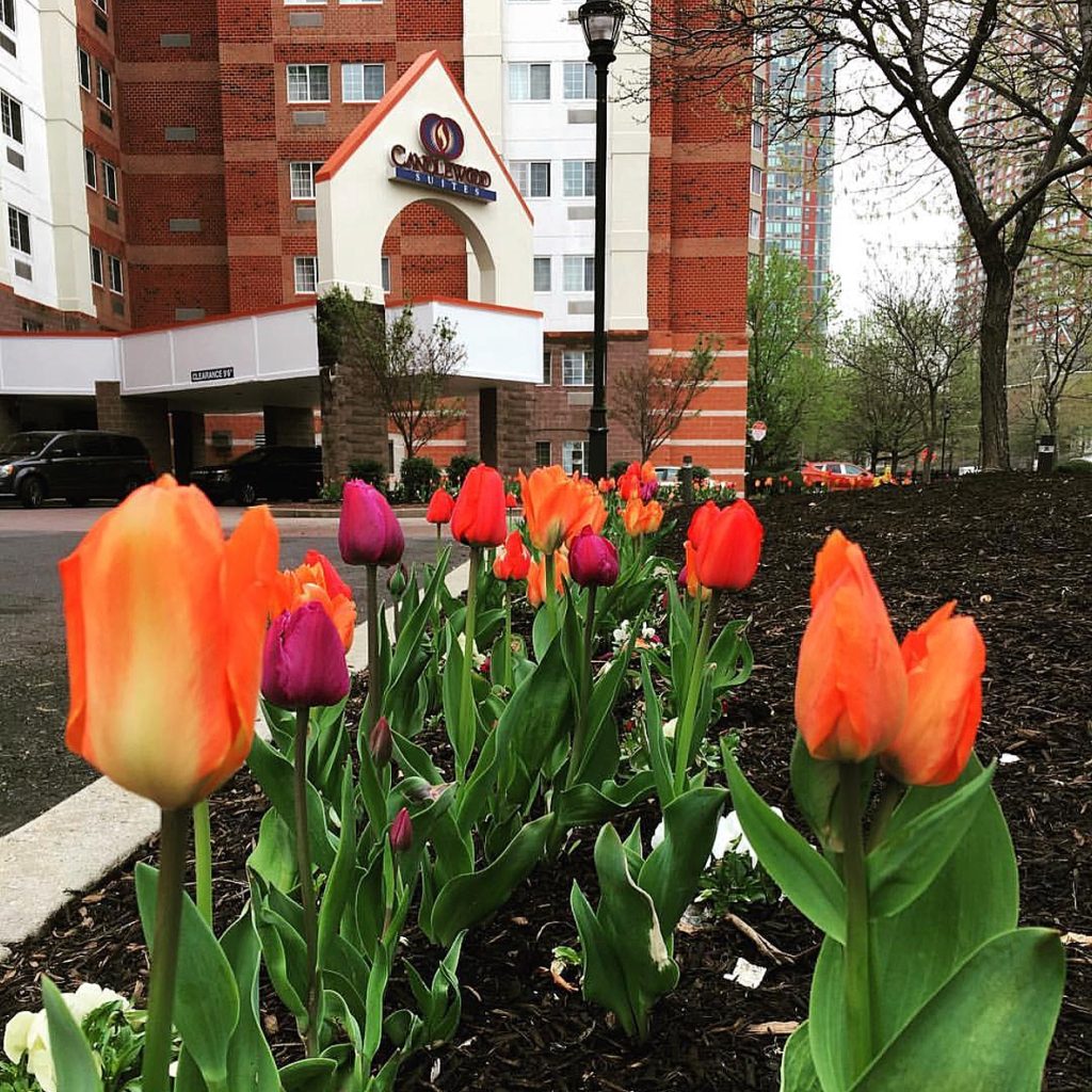 candlewood suites jersey city
