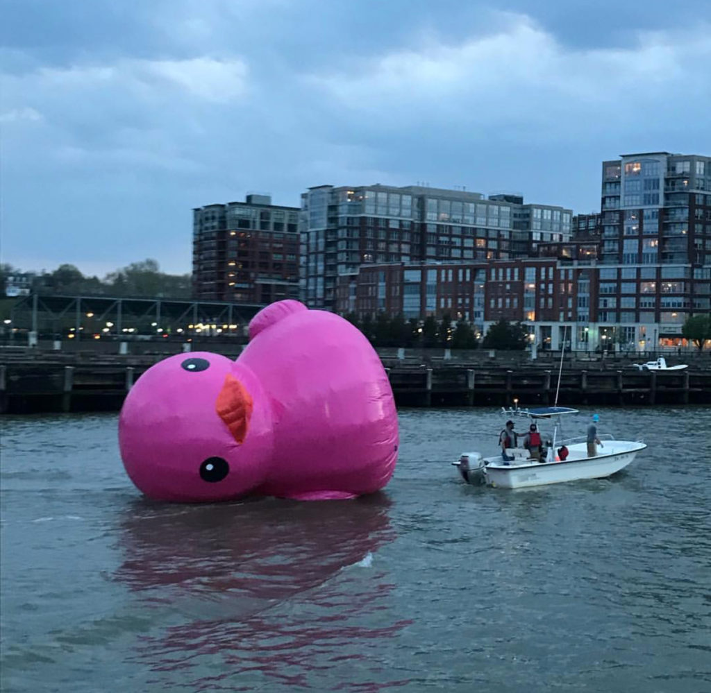pier 13 duck rescue @filterfrei