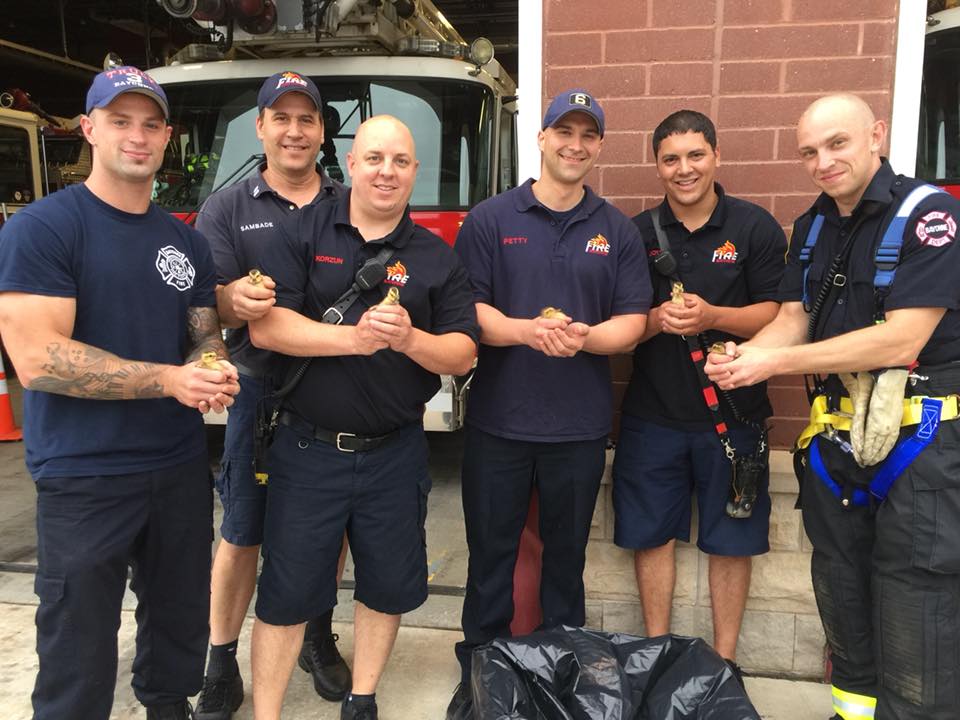 duckling rescue firefighters