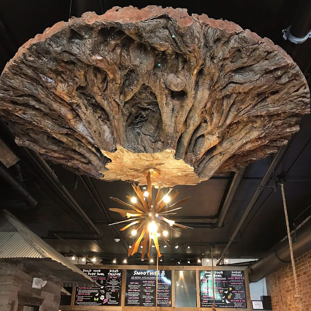 shaka bowl hoboken downtown