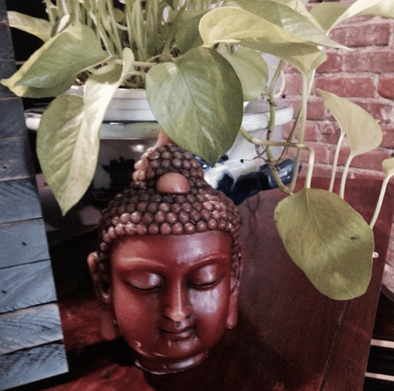 Hale Organic Salon