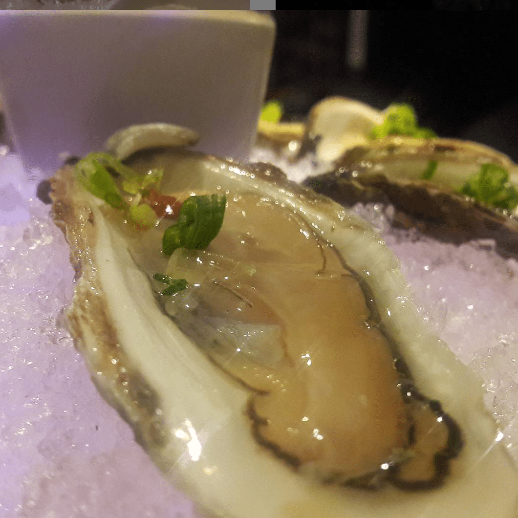 honshu oysters