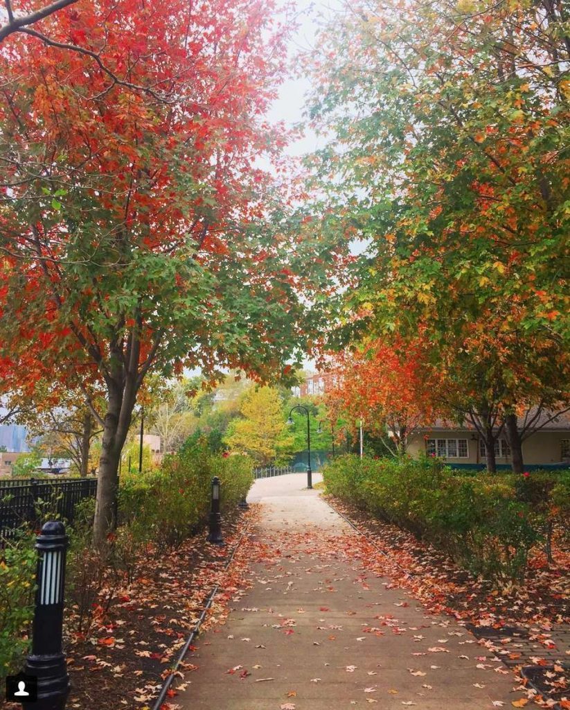 fall in love with hoboken contest