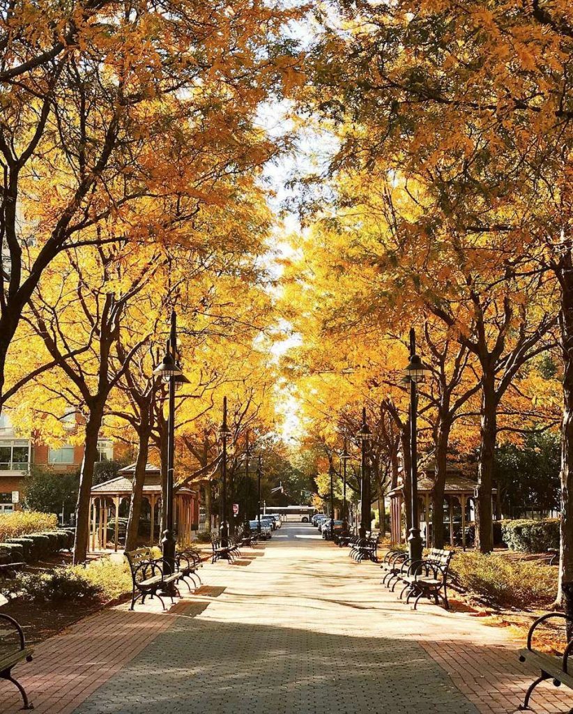 fall in love with hoboken contest
