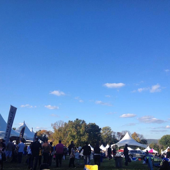 grand harvest wine fest