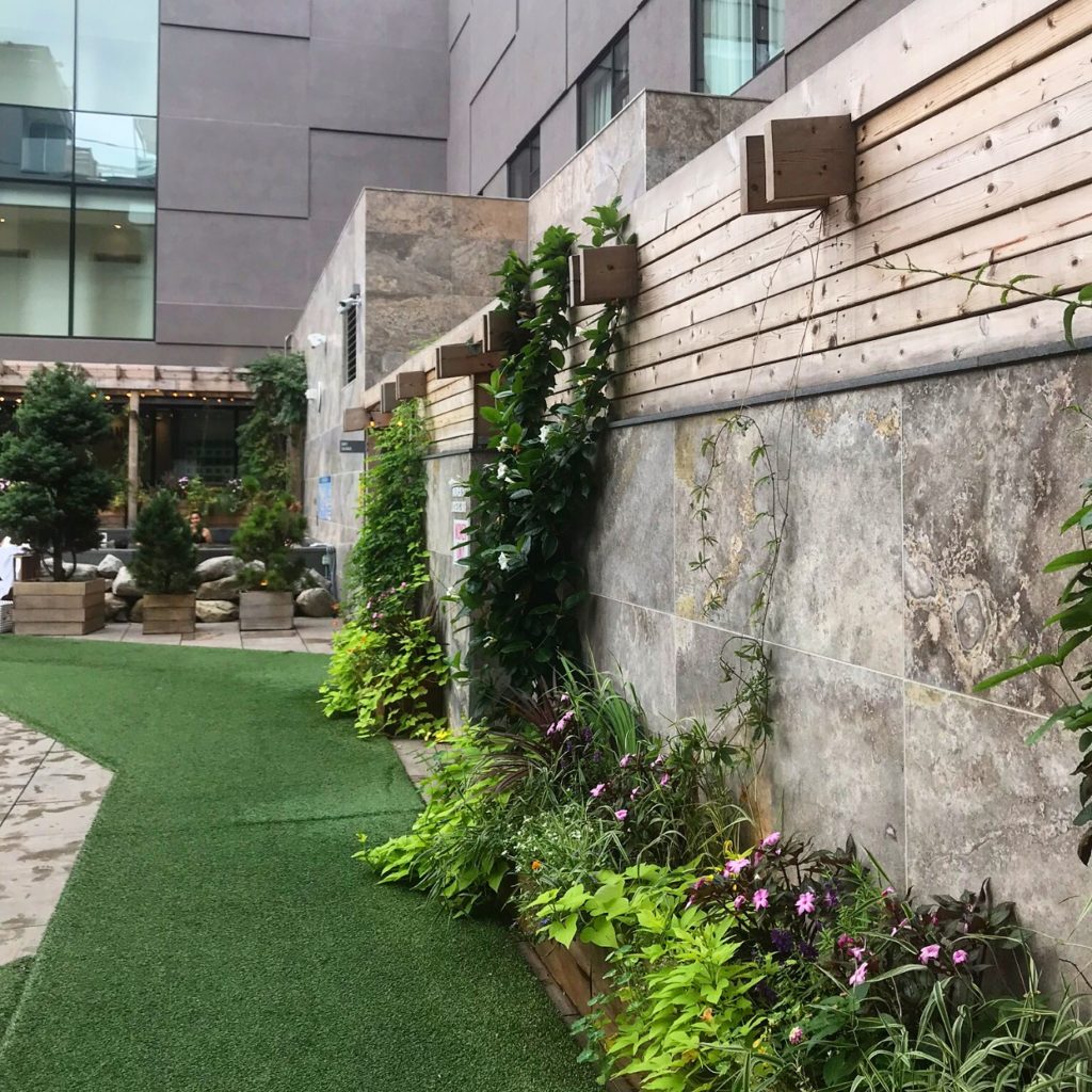 SoJo Spa Edgewater 