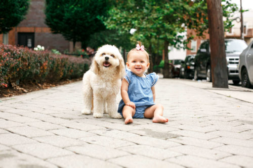 hoboken dogs babies
