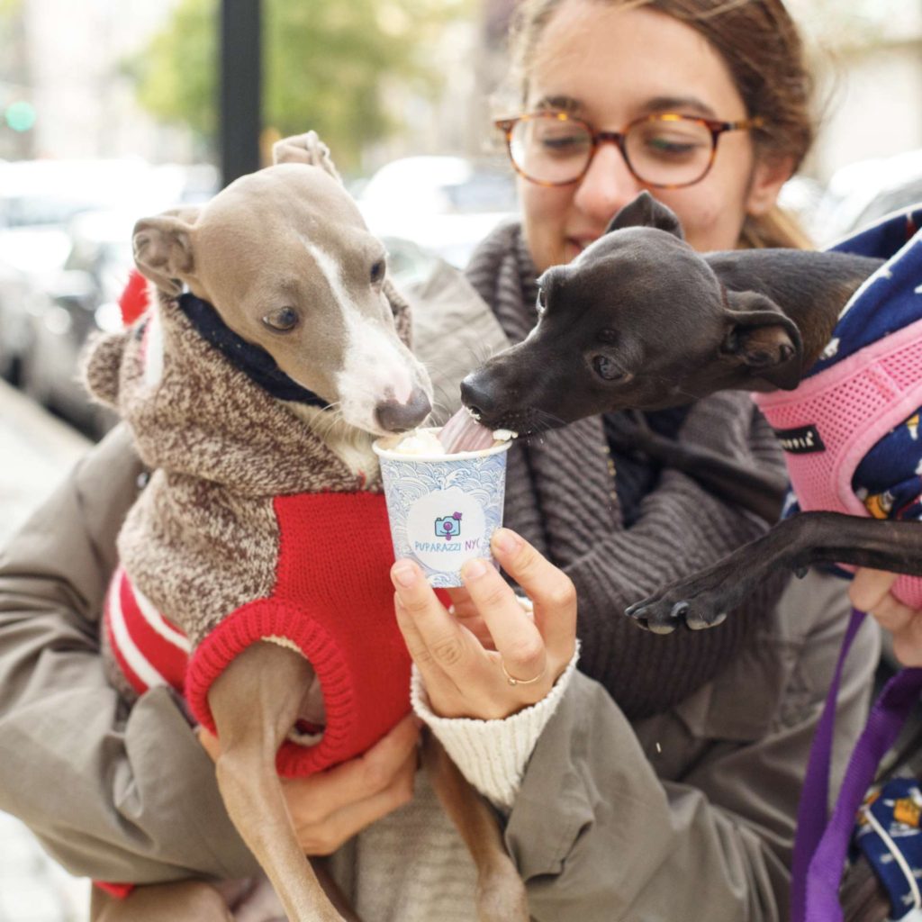 puppacinos hoboken hudson coffee