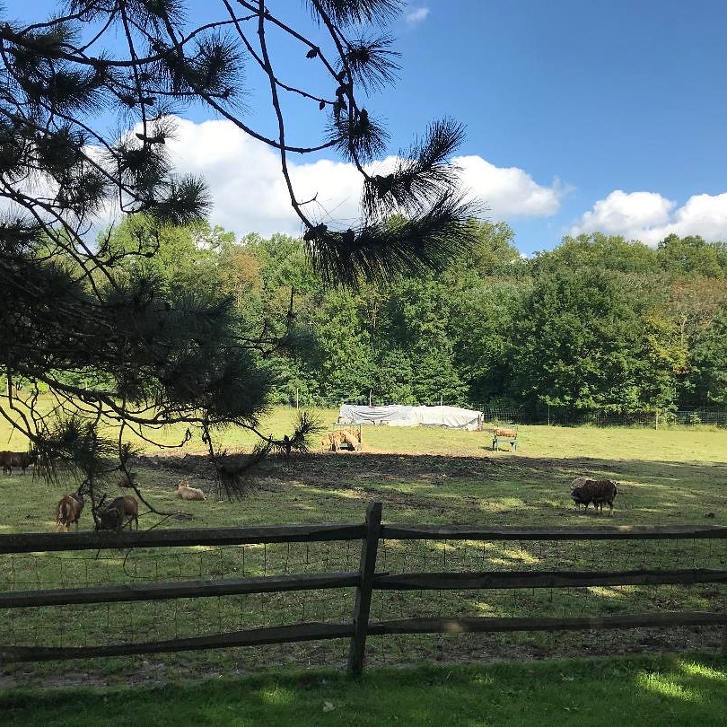 alstede farms chester new jersey