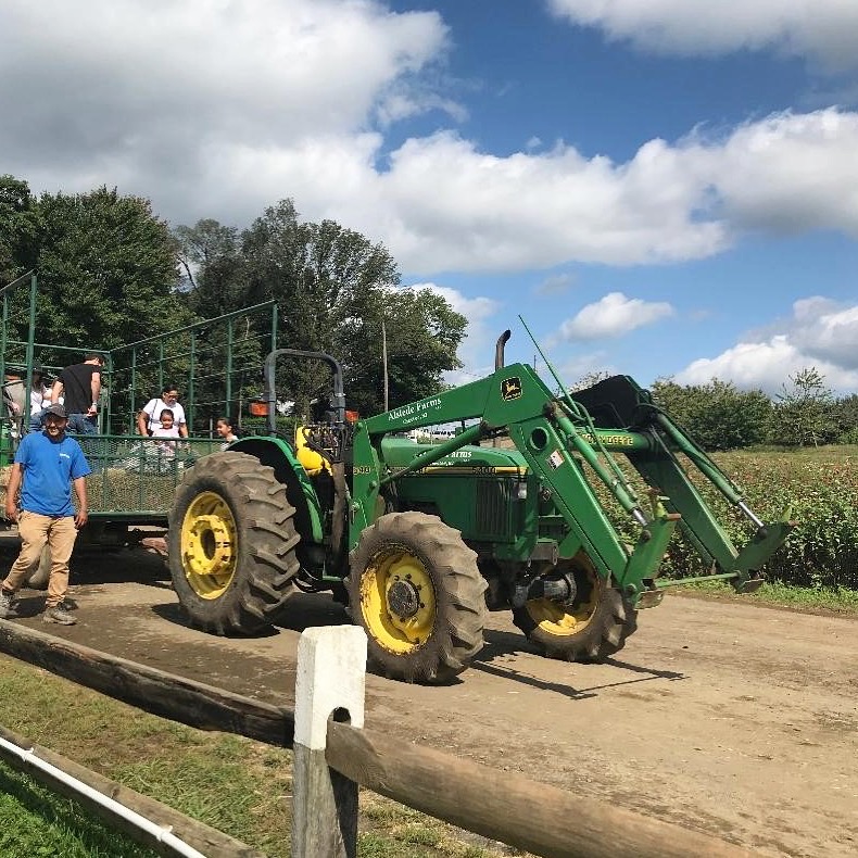 alstede farms chester new jersey