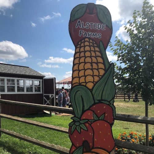 alstede farms chester new jersey