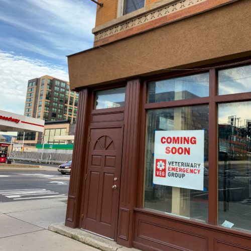 emergency vet hoboken