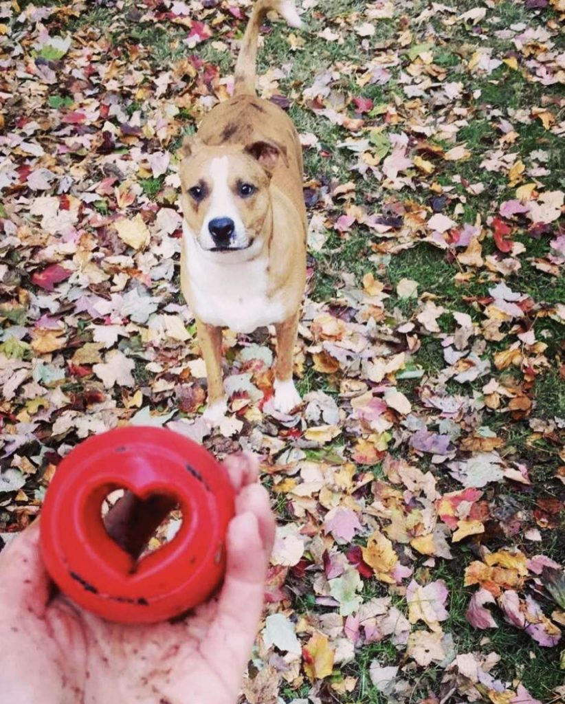 fall in love with hoboken contest