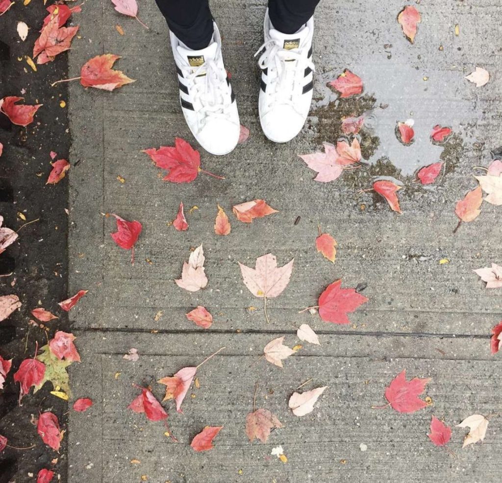 fall in love with hoboken
