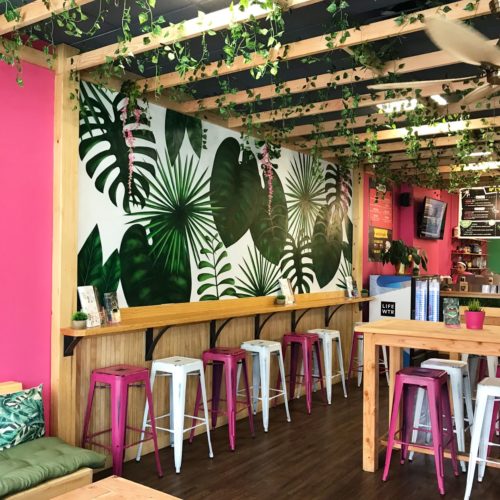 sweetberry bowls jersey city