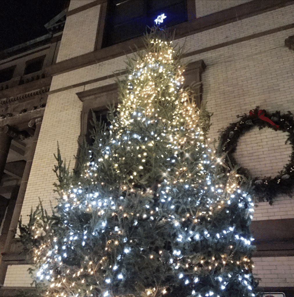 hoboken city hall christmas tree