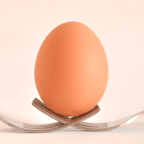 Egg freezing 101