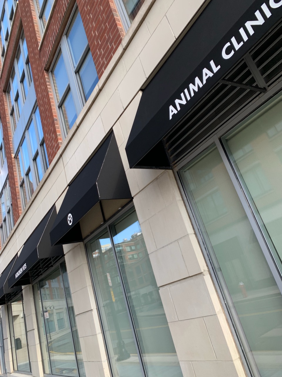 hoboken animal clinic