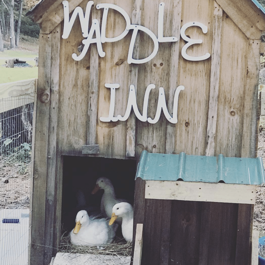 tiny house resort catskills ny 