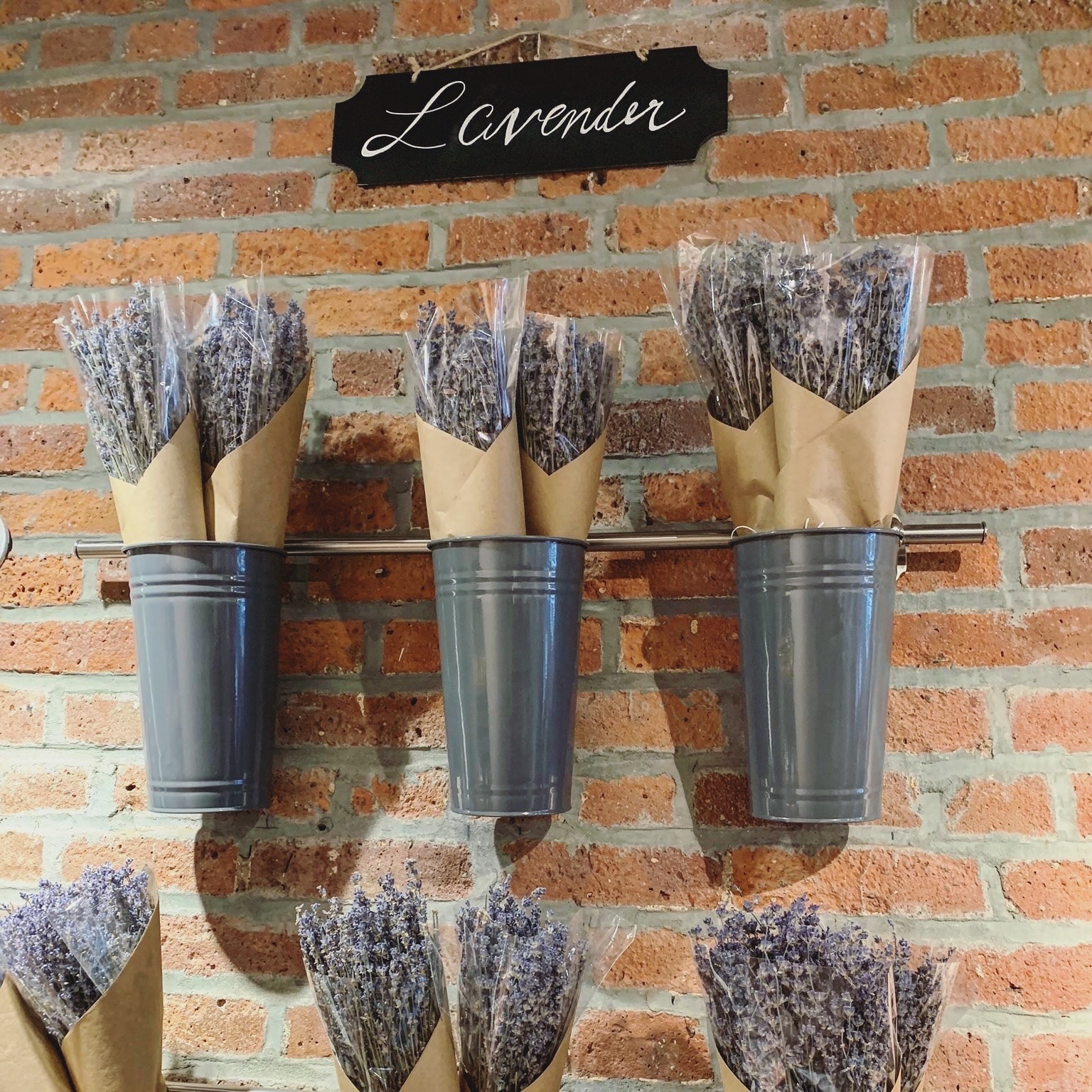 willow rose lavender
