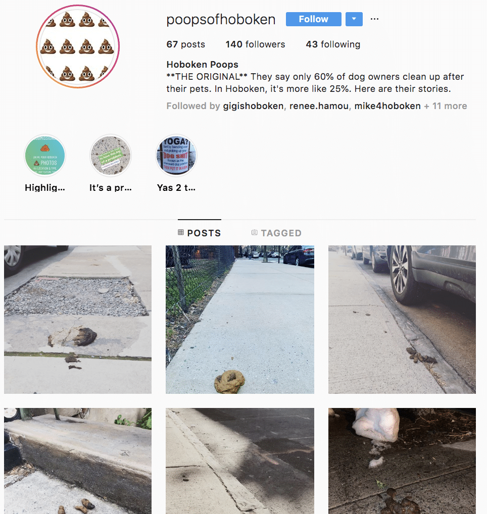 dog poop hoboken