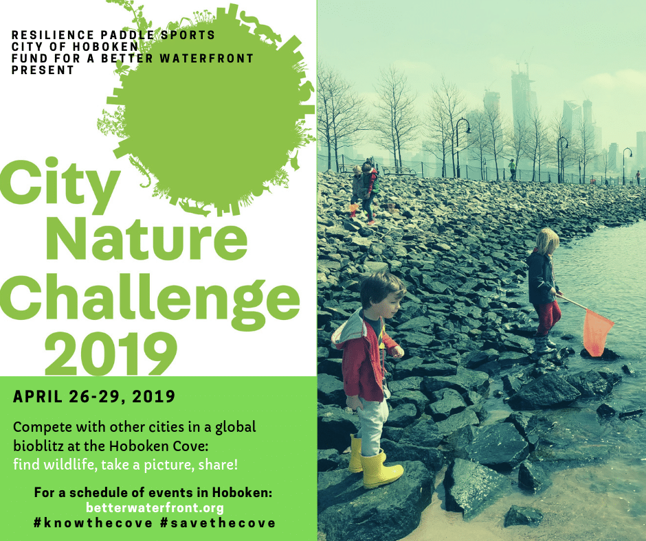 city nature challenge