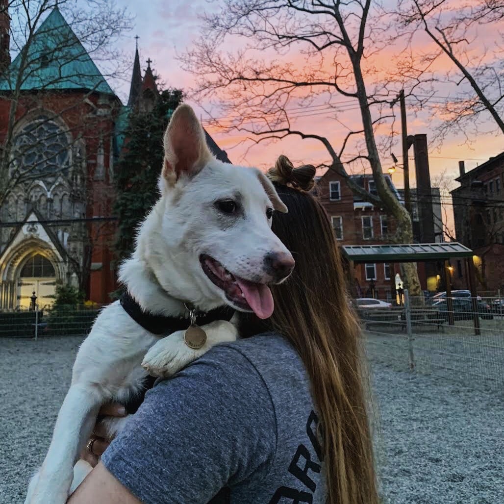 dog rescue buko hoboken